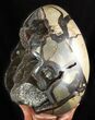 Septarian Dragon Egg Geode - Black Crystals #47471-3